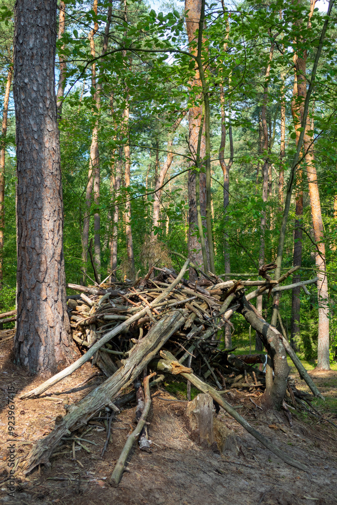 stick hut made of tree branches in the woods stick hut made of tree branches in the woods