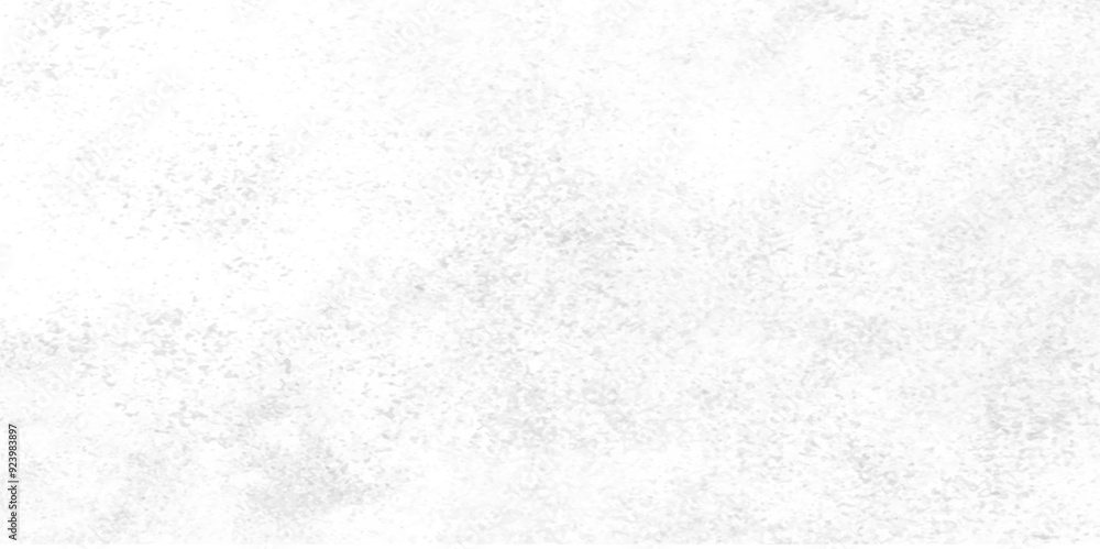 Black and white grunge crack paper texture design. Cement wall modern style background and texture. grunge gray texture of chips, cracks, scratches, Soft white grunge. Black and white grunge crack paper texture design. Cement wall modern style background and texture. grunge gray texture of chips, cracks, scratches, Soft white grunge.