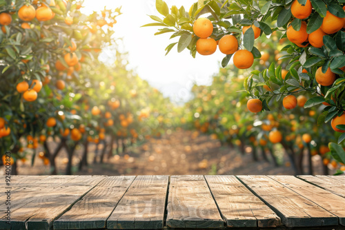 Empty wood table with free space over orange trees, orange field background. For product display montage