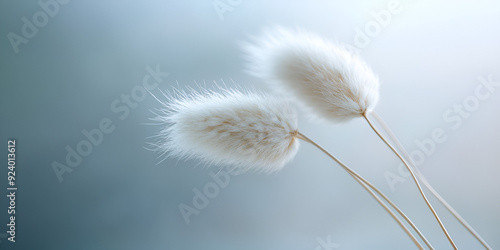 Close-Up of White Feathers Floating in the Air with Blurred Background