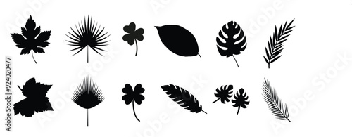 A collection of leaf silhouettes in black and white. The leaves are of various sizes and shapes, including palm leaves, maple leaves, and ferns. 