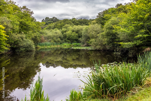 Baldwins Pond in Epping Forest  near Loughton in Essex, UK. photo