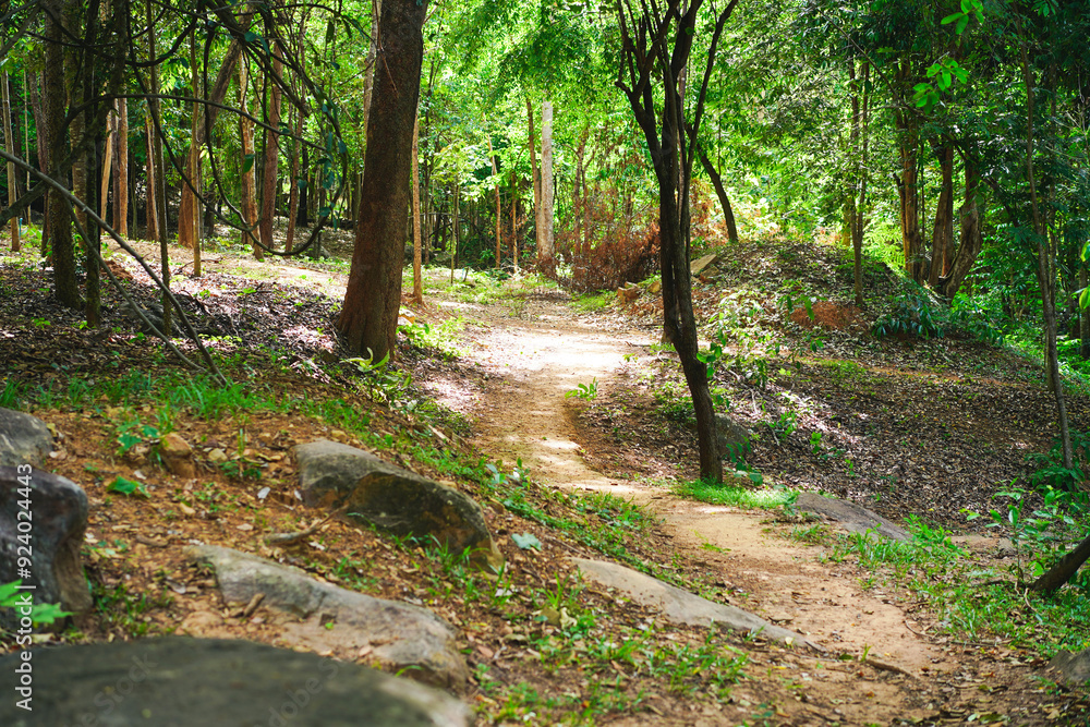 Empty curved trail, path way through a green nature park with trees and rocks in the forest, view in Ton Waterfall at Tat Ton National Park, Chaiyaphum, Thailand. Empty curved trail, path way through a green nature park with trees and rocks in the forest, view in Ton Waterfall at Tat Ton National Park, Chaiyaphum, Thailand.