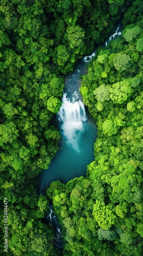 Aerial of a cascading waterfall plunging into a deep pool surrounded by lush tropical vegetation, creating a powerful and mesmerizing natural spectacle