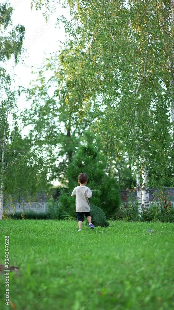 Little boy runs by the green grass distancing from camera. Kid comes up to a arborist figures of bunnies in the garden. Vertical video. Little boy runs by the green grass distancing from camera. Kid comes up to a arborist figures of bunnies in the garden. Vertical video.