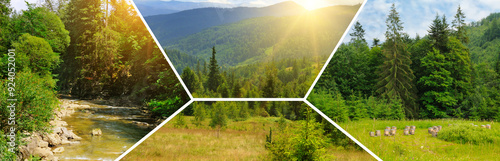 mountain landscape with mountain ranges, coniferous forests and sunrise. Carpathian Mountains, Ukraine. Wide photo. Collage.