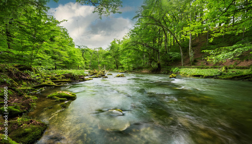 river in the forest