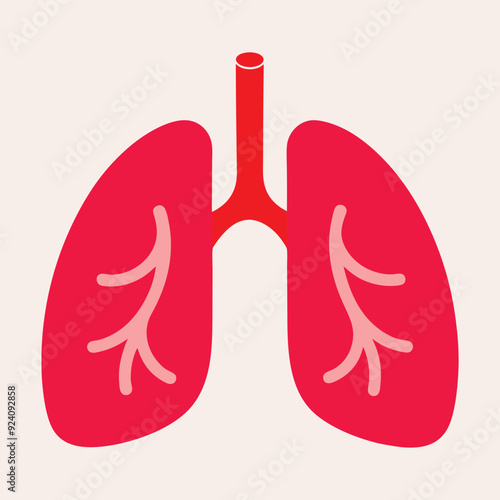 Human lungs .Adobe Illustrator Artwork