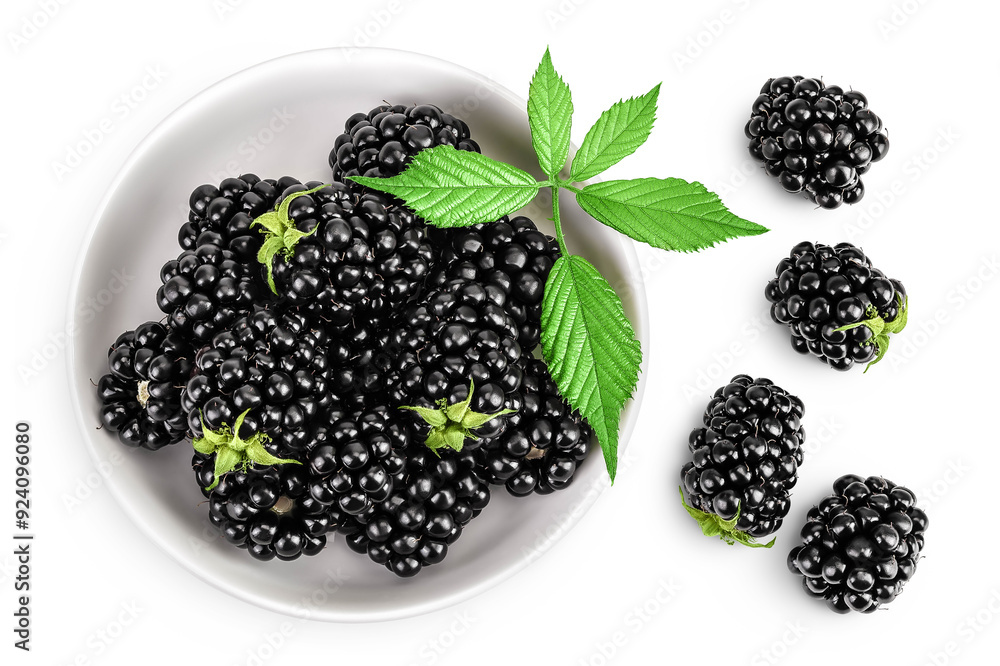 Obraz na plátně blackberry with leaf in ceramic bowl isolated on a white background