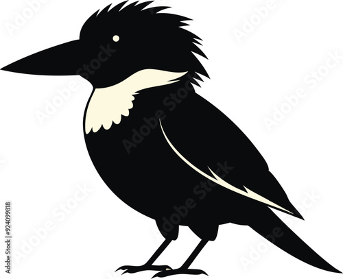 kookaburra silhouette vector illustration .