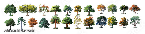 Collections of jungle trees hardwood 3D render vector illustration, Environmental growth trees forested set, lush jungle trees 3D render, tropical forest hardwood collection.