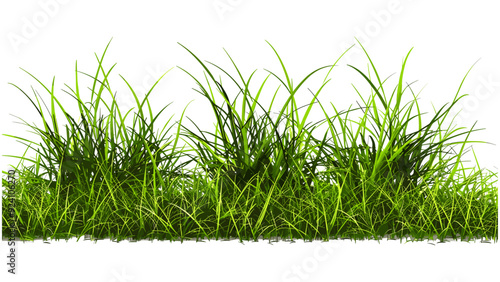 Grass field row lush close up cut out backgrounds 3D render vector illustration, vibrant green grass border, seamless lawn pattern, nature environment, grass field realistic background, green grass