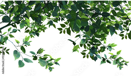 3D vector illustration of greenery with leaves and branches, natural foliage transparent background, leafy branch design, green foliage vector, botanical cutout illustration