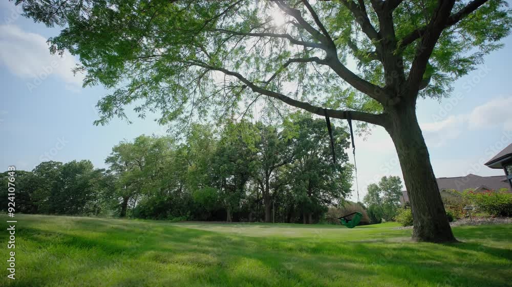 Wooden Tree Swing in a backyard. Wide shot Wooden Tree Swing in a backyard. Wide shot