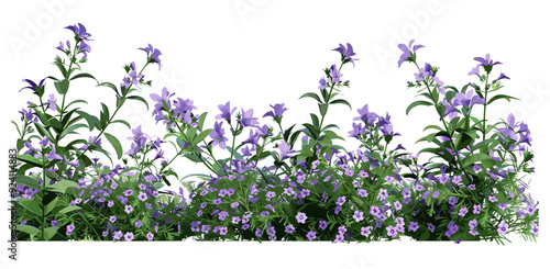 Violet flowers shrubs vector illustration, Colorful flower garden, tuberose white blooming plants, Colorful flowers, 3d rendering transparent background png