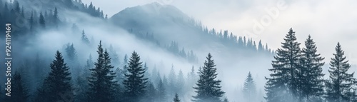 Serene foggy mountain landscape with pine trees covered in mist, creating a peaceful and tranquil natural scene in cool tones.