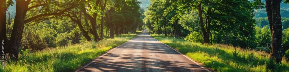 custom made wallpaper toronto digitalScenic country road on a bright summer day, featuring a straight route through wild forest terrain, perfect for outdoor adventures with vibrant greenery alongside trees and mountains. Ideal for