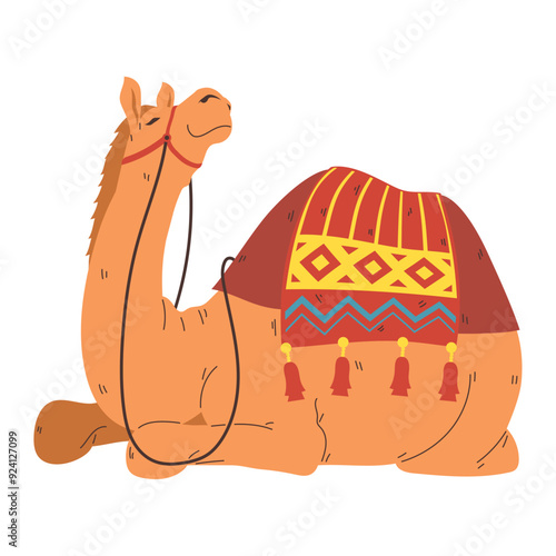 bikaner camel festival in india