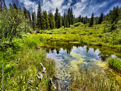 Mountain Pond photo