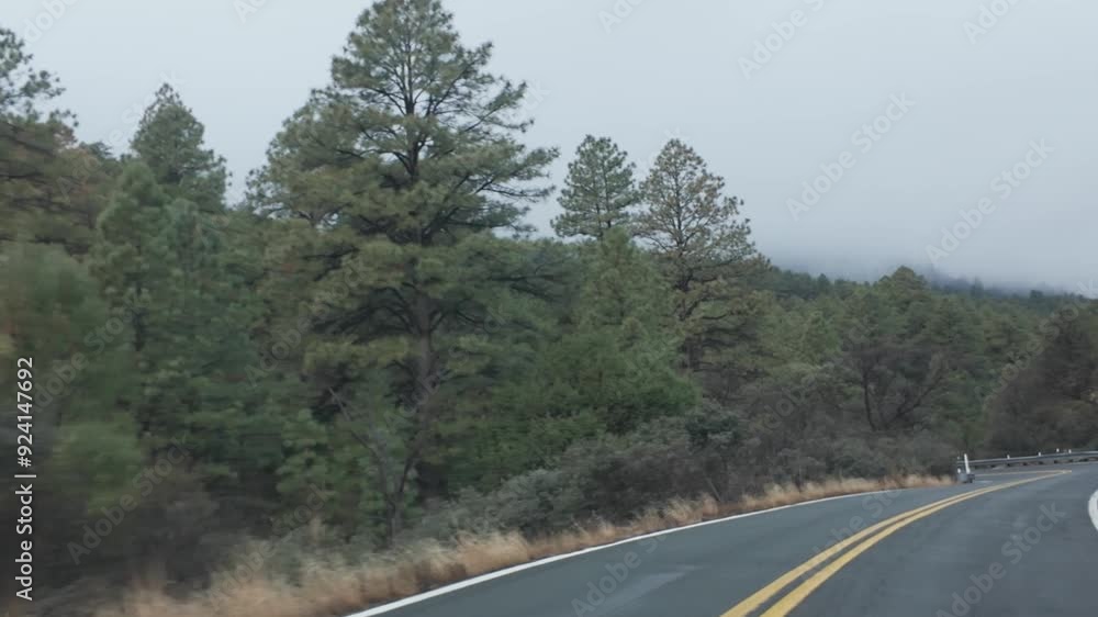 Foggy Forest Road on Highway AZ-89A Foggy Forest Road on Highway AZ-89A