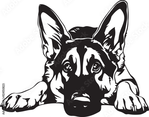 Germany Shepherd Dog Lying Down Stylized Vector Illustration