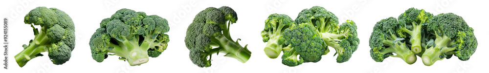 broccoli vegetable png cut out element set broccoli vegetable png cut out element set
