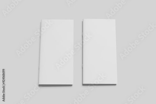 DL Brochure Blank Mockup