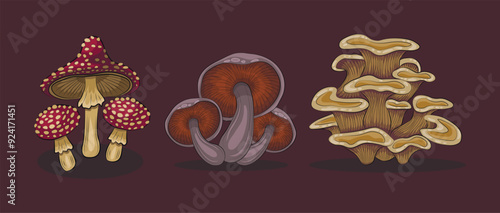 mushroom cartoon set. gilled mushroom, fly-agaric and oyster mushroom