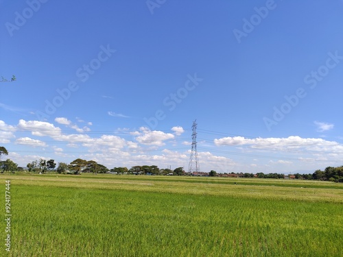 power lines on a field