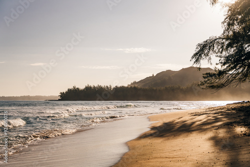 Kawela Bay Oahu North Shore Beach with the sand and the palm trees at the background photo