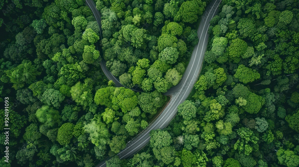 Aerial View of Winding Road Through Lush Forest Aerial View of Winding Road Through Lush Forest