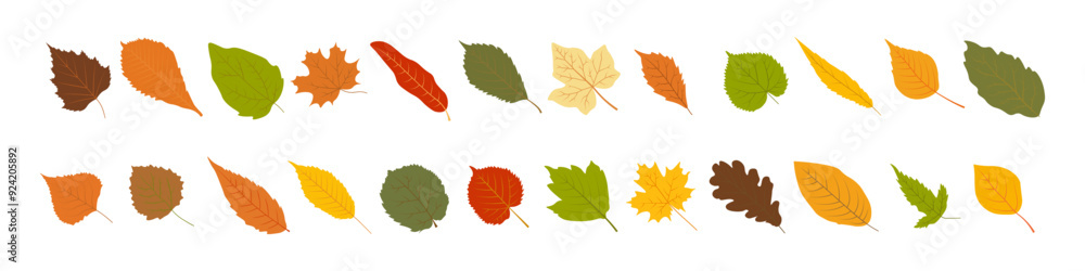 Fototapeta premium Autumn leaf set. Fall leaves icon. Flat style.