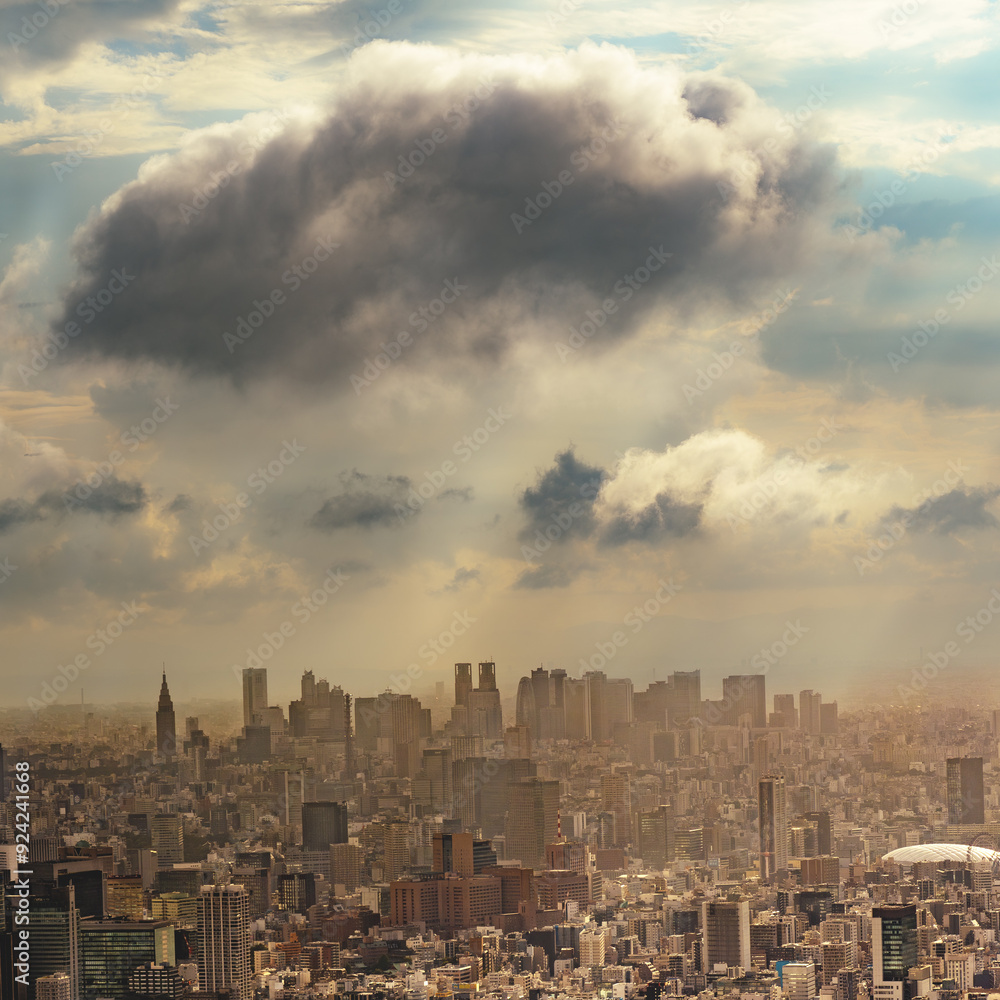 Fototapeta premium Tokyo sous la pluie