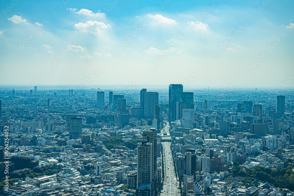 Obraz premium 渋谷の都市風景