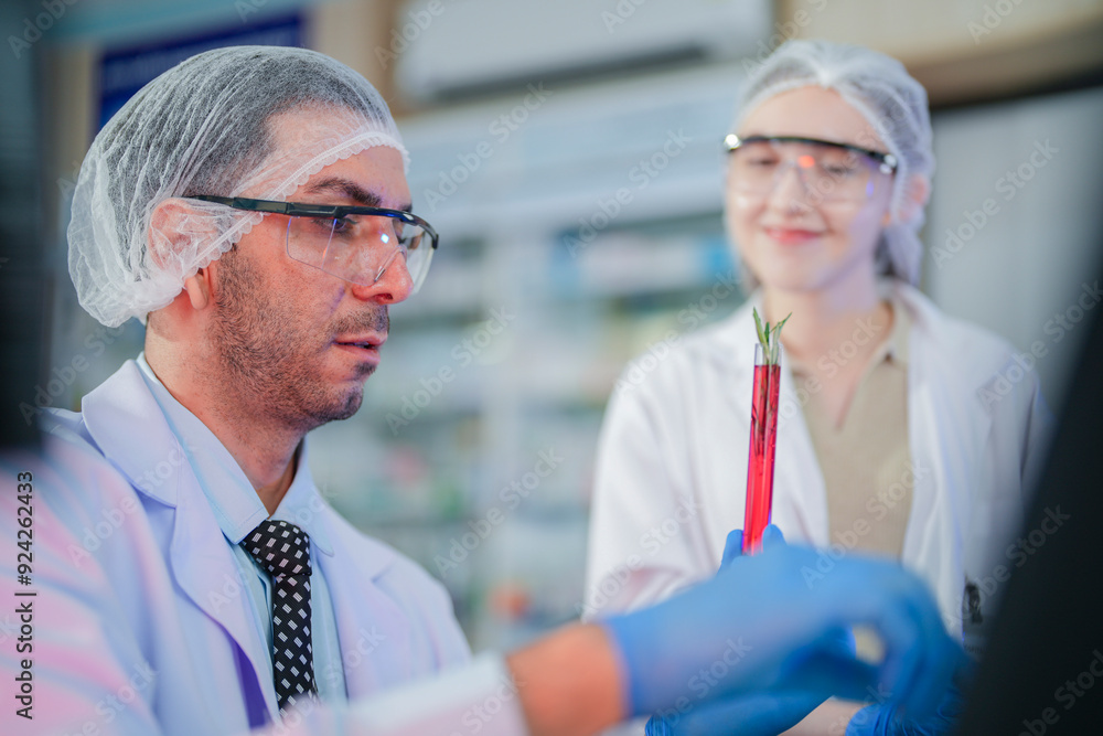 scientists perform experiments and record data. people arranges equipment with test tubes and chemicals for producing medicine and biochemistry. man hold tubes of chemical liquids and plant samples. scientists perform experiments and record data. people arranges equipment with test tubes and chemicals for producing medicine and biochemistry. man hold tubes of chemical liquids and plant samples.