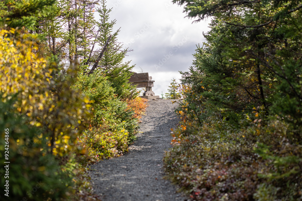 Naklejka premium A short hill with a gravel hiking trail leading to a wooden bench. The path leads to an opening or clearing at the top of a mountain. The sides of the footpath have tall lush green trees with shrubs.