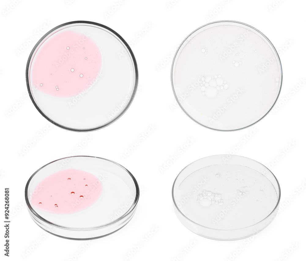 Set of Petri dishes with liquid samples on white background, top and side views Set of Petri dishes with liquid samples on white background, top and side views