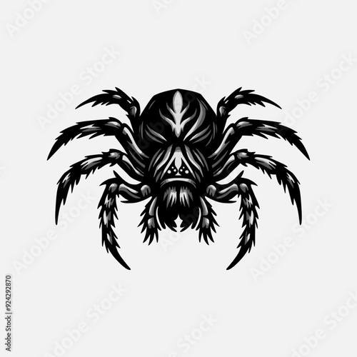 Tarantula spider hand drawn illustration