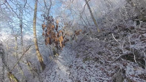 Freezing but Beautiful Trail in Great Smoky Mountains National Park photo