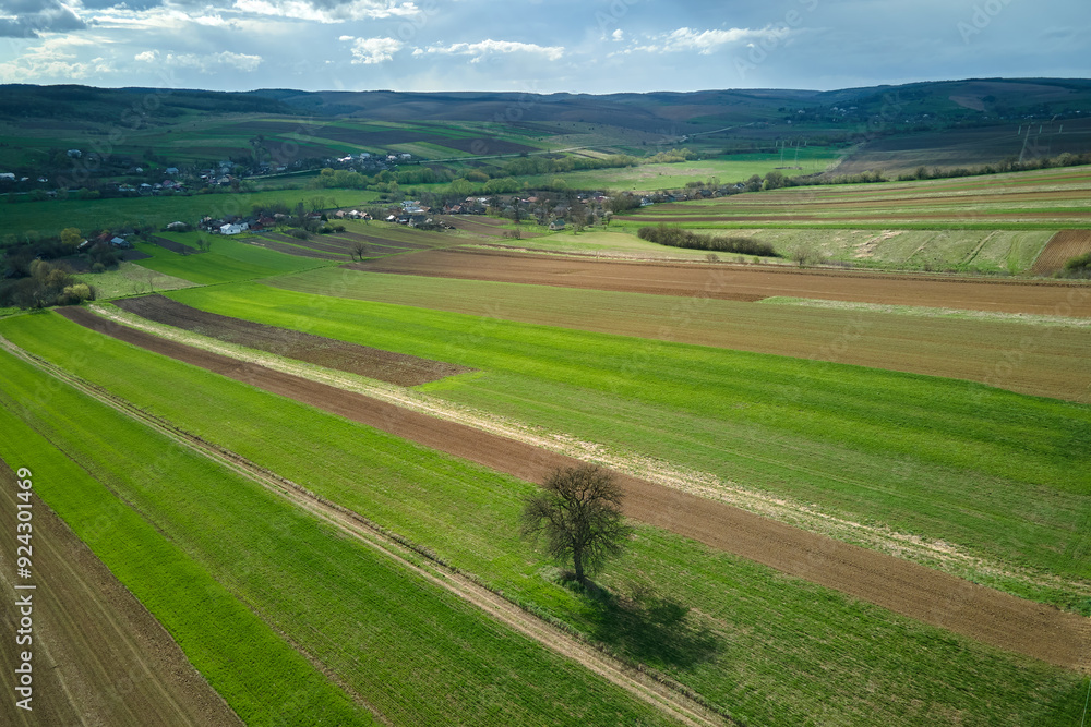 Aerial landscape of green farmland in summer season with growing crops. Agricultural cultivated field. Farming and agriculture industry Aerial landscape of green farmland in summer season with growing crops. Agricultural cultivated field. Farming and agriculture industry