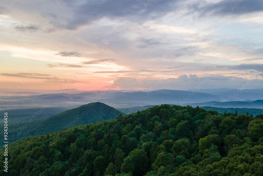 Aerial view of green pine forest with dark spruce trees covering mountain hills at sunset. Nothern woodland scenery from above Aerial view of green pine forest with dark spruce trees covering mountain hills at sunset. Nothern woodland scenery from above