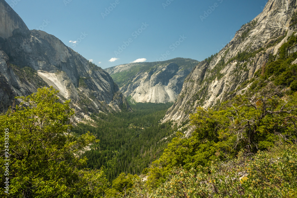 Trees Fill The Valley Below Snow Creek In Yosemite Trees Fill The Valley Below Snow Creek In Yosemite