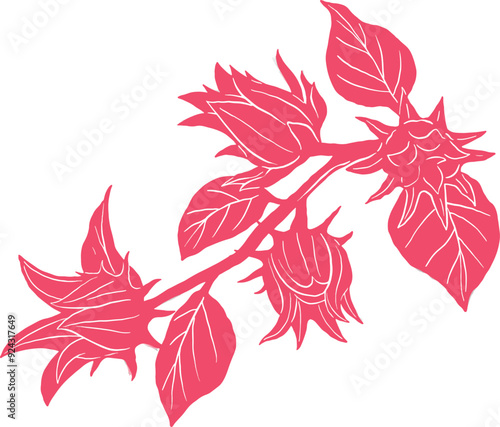 Rosella tea flower pattern illustration