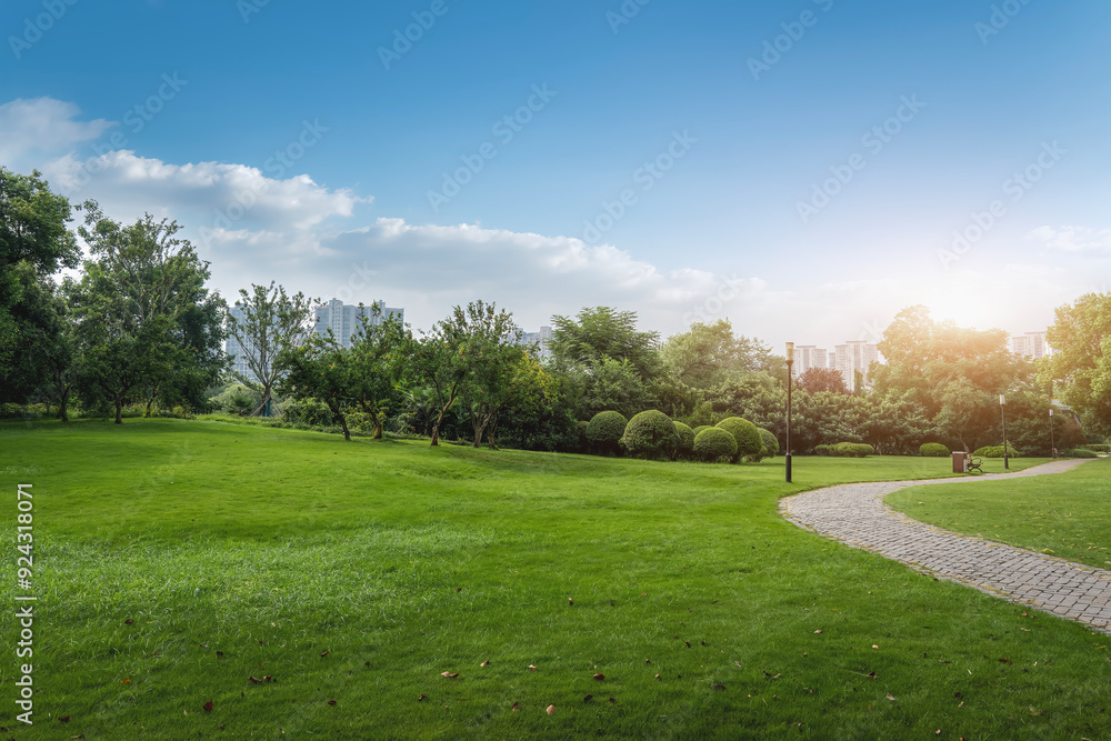 Tranquil Park Landscape with Pathway and Greenery Under Blue Sky Tranquil Park Landscape with Pathway and Greenery Under Blue Sky