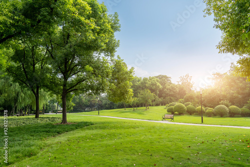 Fototapeta Naklejka Na Ścianę i Meble -  Tranquil Park Landscape Bathed in Morning Sunlight