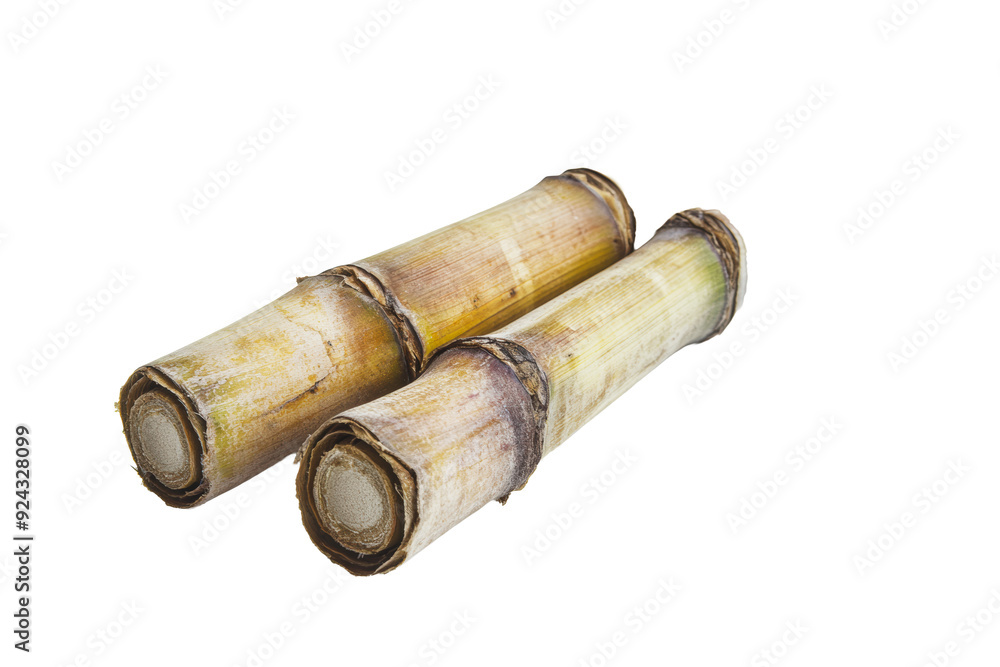 PNG Freshly harvested sugarcane stalks on a white background PNG Freshly harvested sugarcane stalks on a white background