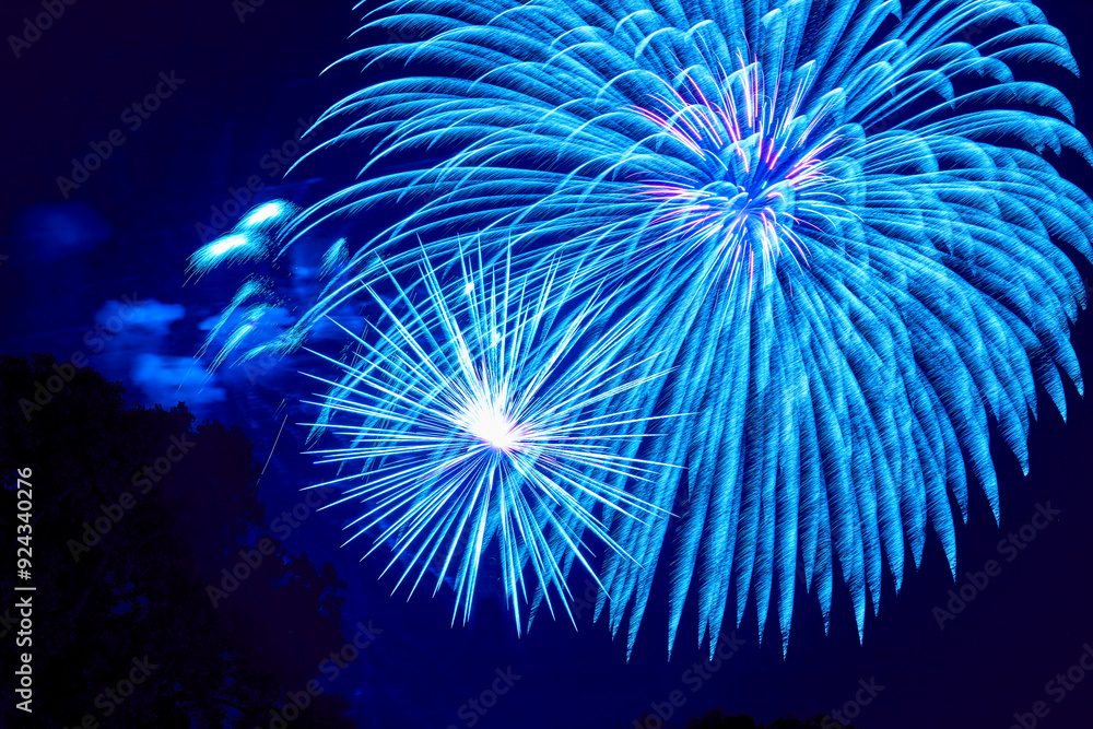 Obraz premium Blue fireworks exploding against a dark blue sky during a fourth of July celebration