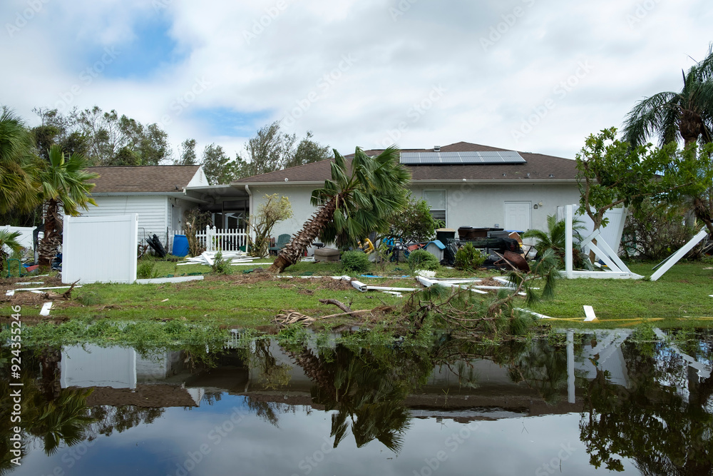 Uprooted palm tree after hurricane on Florida home front yard. Aftermath of natural disaster concept Uprooted palm tree after hurricane on Florida home front yard. Aftermath of natural disaster concept