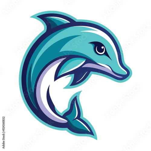 dolphin illustration