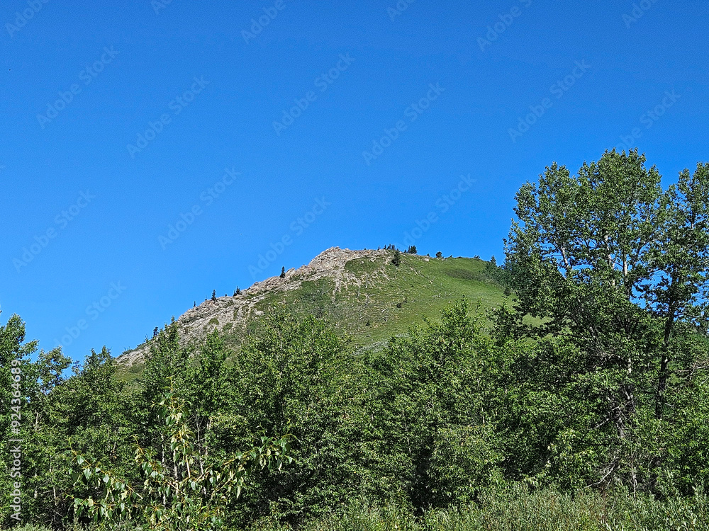 Beautiful nature landscape of a large hill covered with green grass, a tree area in the foreground and a clear blue sky with copy space. Beautiful nature landscape of a large hill covered with green grass, a tree area in the foreground and a clear blue sky with copy space.